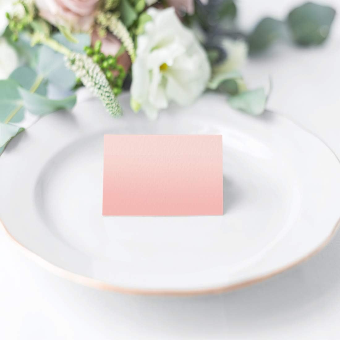 Andaz Press Blush Pink Rose Elegant Party Collection, Blank Place Cards, 20-Pack, Placecards Food Dessert Table Tent Favors Decor