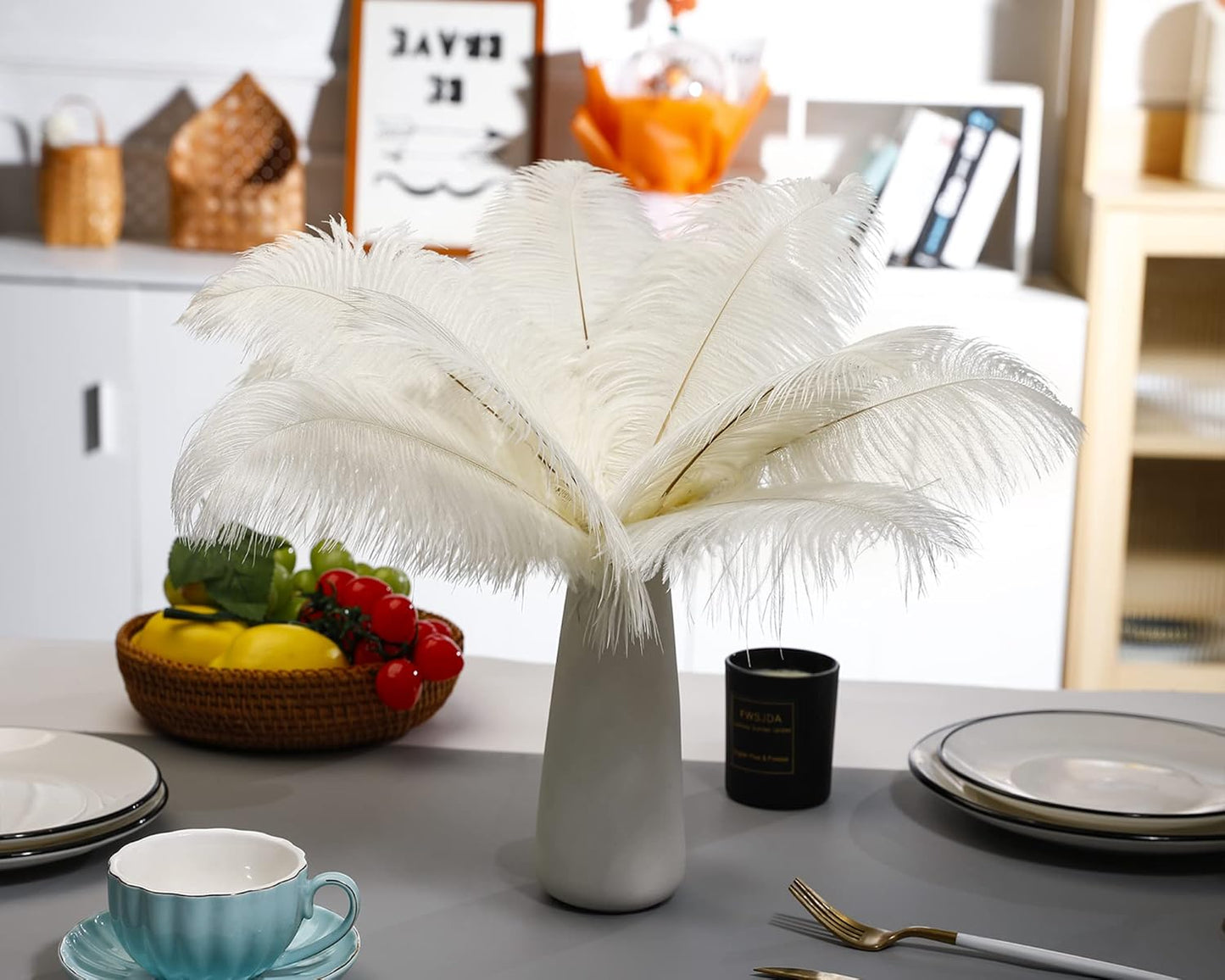 Ballinger Beige Ostrich Feathers Bulk - 24pcs 8-10inch Cream Feathers for Crafts,Wedding Party Centerpieces and Home Decor