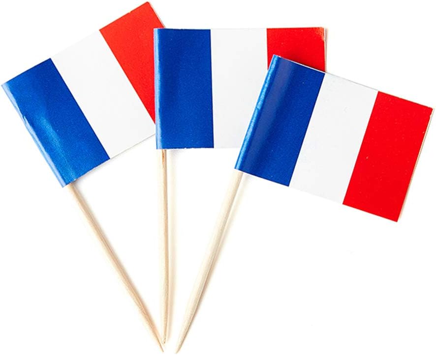 mflagperft France Flag French Flag, Small Mini France Toothpick Flags for Food, Cupcakes, Cocktails, Appetizers, Bar Party Decorations