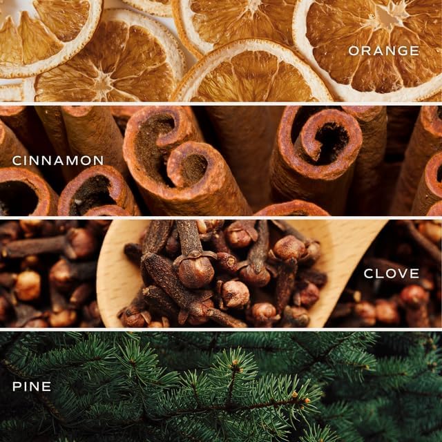 Sweet Water Decor Smells Like All Things Cozy Candle, Orange Cinnamon Ginger Clove Scent, 9oz Soy Candle with Gold Lid, Non-Toxic, Fall & Winter Christmas & Housewarming Gift, 40+ Burn Time