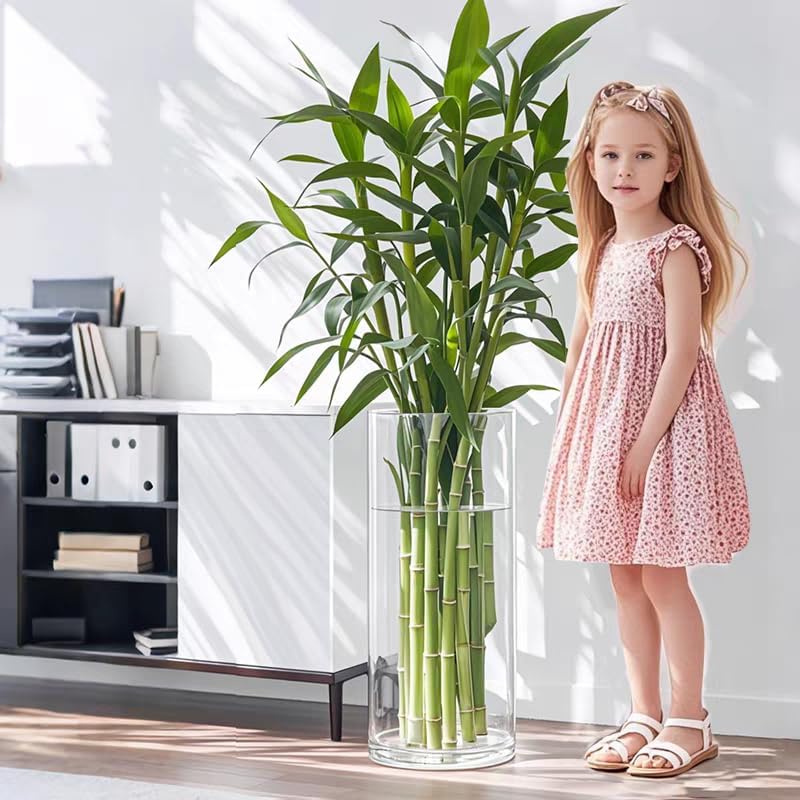 Extra Large Acrylic Cylinder Clear Vase for Floor, Tall Big Wide Mouth Plastic Unbreakable Hurricane Flower Vases of 3 for Home Decor (D 8" X H 19.7", D 6", D 4.8" + 2 Holder)