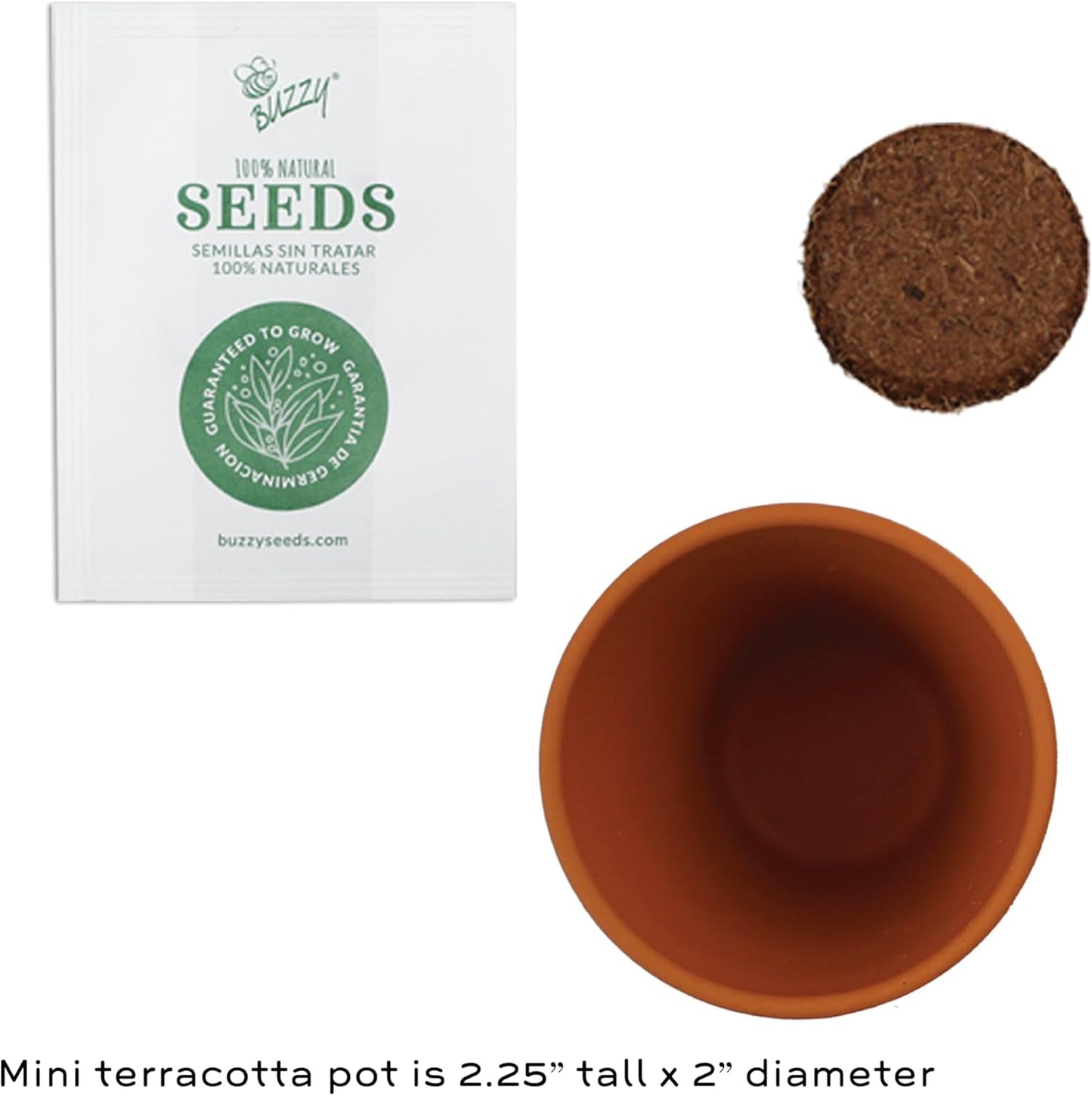 BUZZY Seeds Forget-Me-Not Terracotta Mini Grow Pots Love Collection, 12-Pack All-in-One Gardening Kit for Wedding Favors, Baby Shower Prizes, Birthday Gifts, or Party Favors