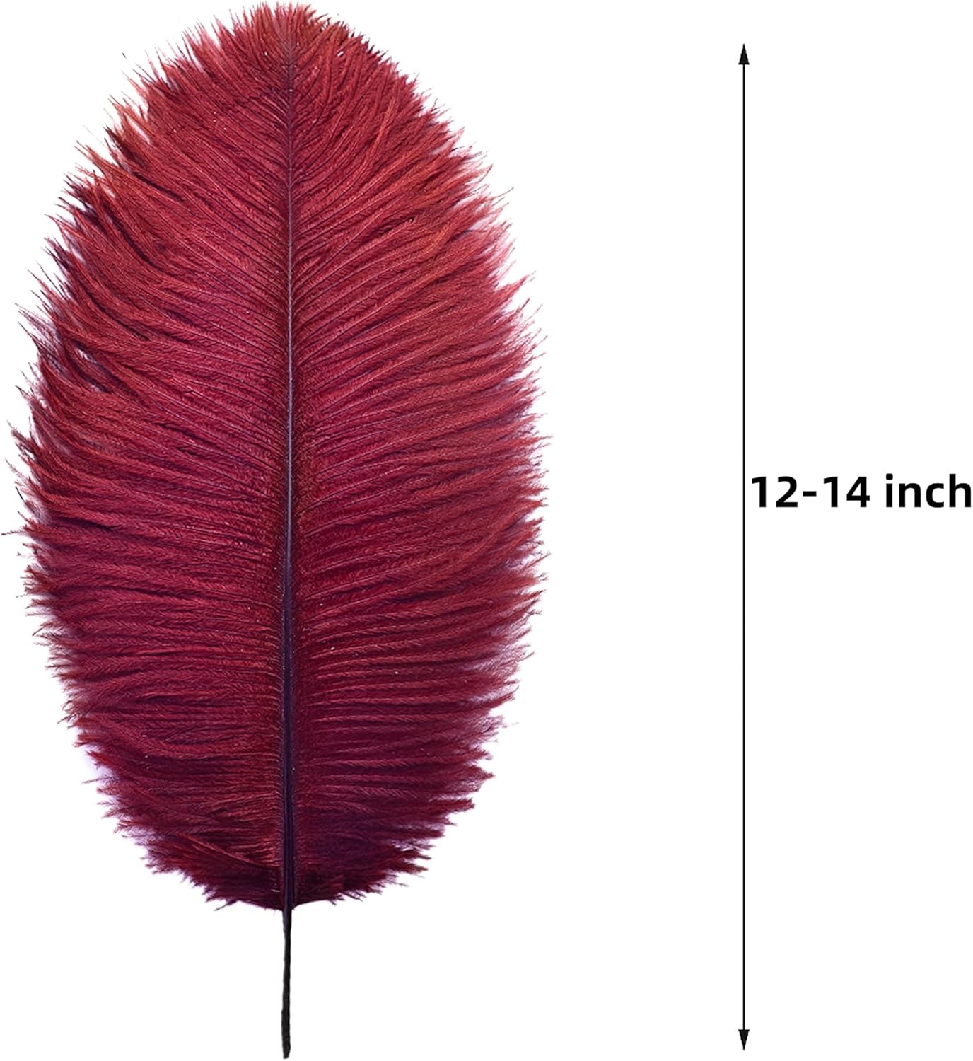Ballinger Big Burgundy Ostrich Feathers - 24Pcs 12-14inch Wine Red Feathers for Party Centerpieces, Flower Arrangement and Home Decor