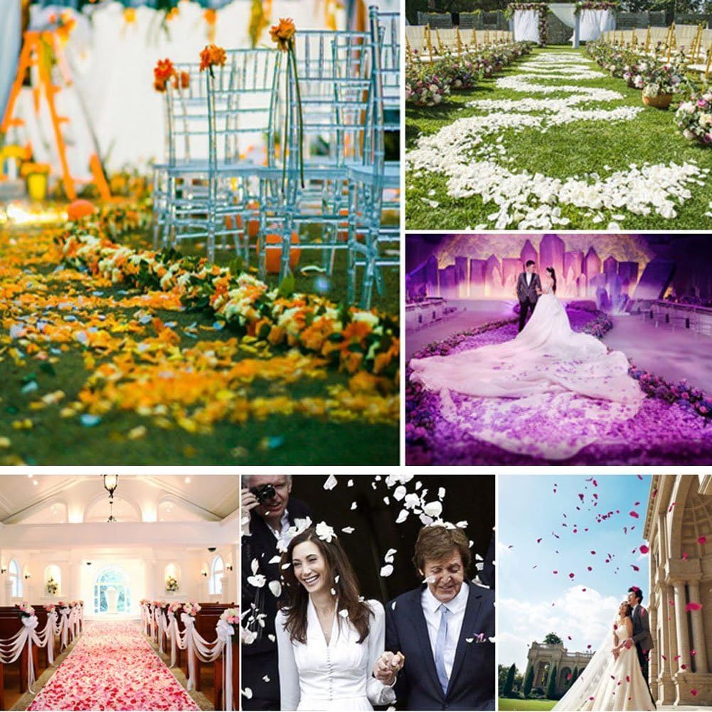 ocharzy 1000pcs Rose Petals Artificial Silk Flower Rose Petals for Wedding Decorations, Romantic Night, Valentine's Day, Parties, Events