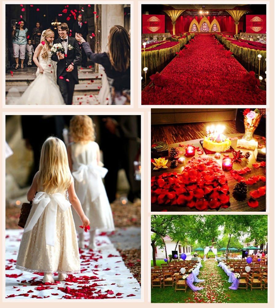 ocharzy 1000 PCS Rose Petals Fake Rose Petals for Romantic Night, Wedding Flower Decoration, Party, Events (Dark Red)