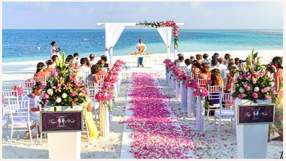 ocharzy 1000pcs Rose Petals Artificial Silk Flower Rose Petals for Wedding Decorations, Romantic Night, Valentine's Day, Parties, Events