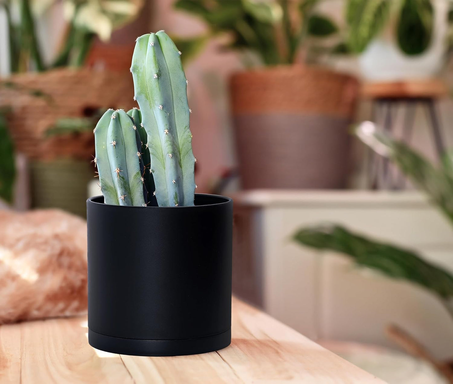 D'vine Dev 4 Pack 5.5 Inch Modern Plastic Plant Pots, Small Garden Planters for Plant with Drainage Holes and Saucers, Black Color, 74-Y-H-2