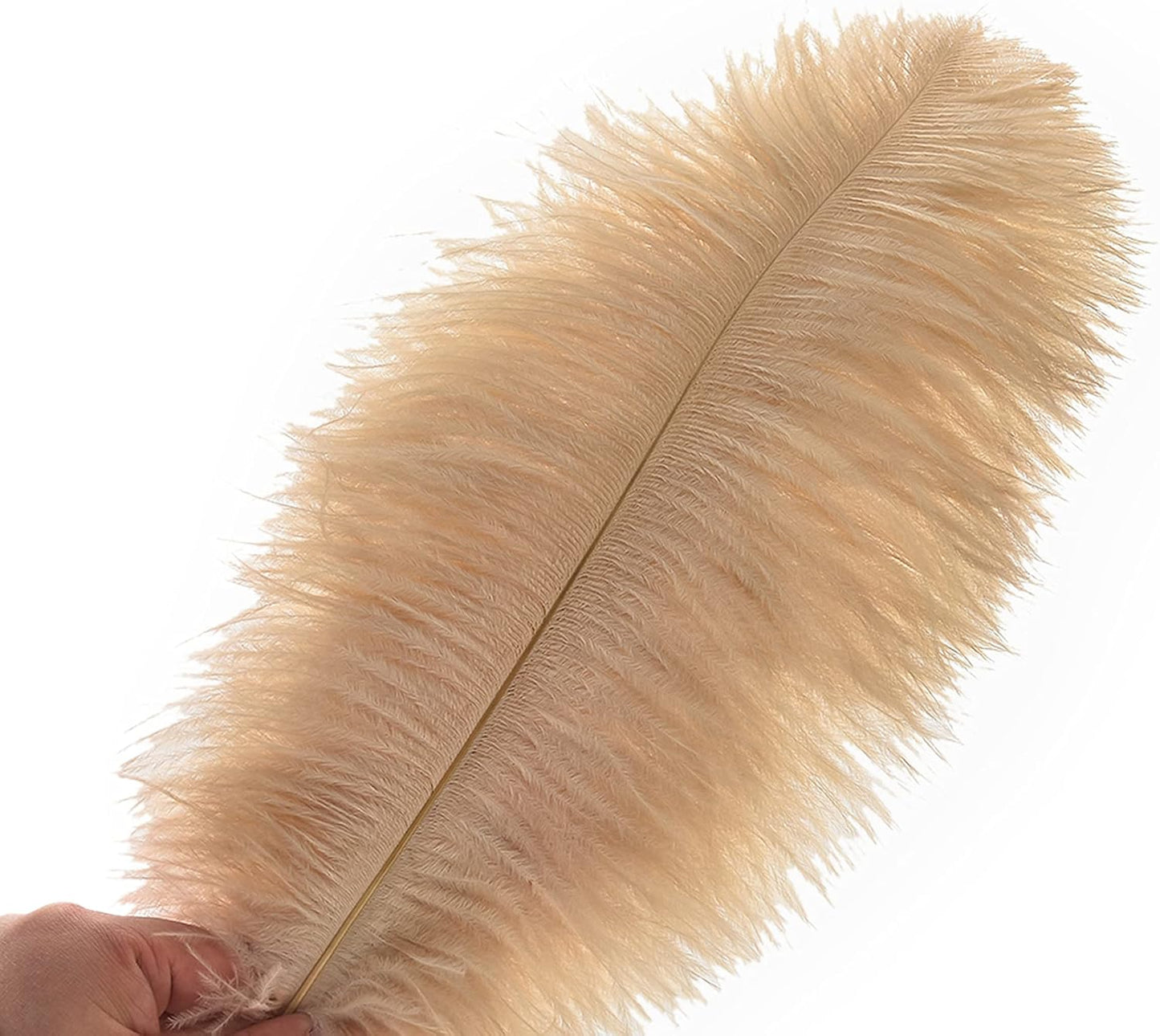 Ballinger Champagne Ostrich Feathers Bulk - 24pcs 10-12inch Boho Feathers for vase and Home Decor Wedding Party Centerpieces