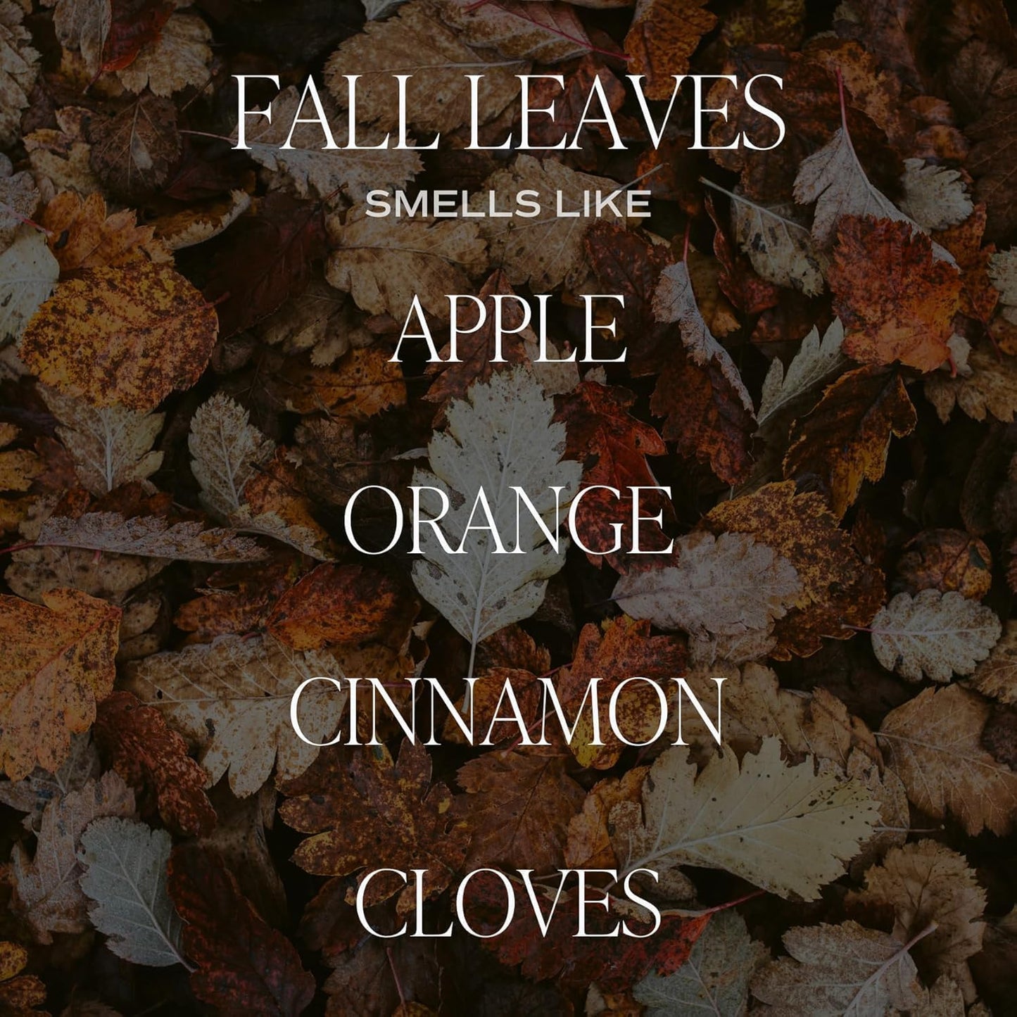 Sweet Water Decor Leaves Scented Candle - Soy Candle with Apple Orange Cinnamon & Cloves Scent - Soy Candle Wax with 40 Hours Burn Time - 100% Cotton Wick Fall Candle Made in USA - Clear Jar 9oz
