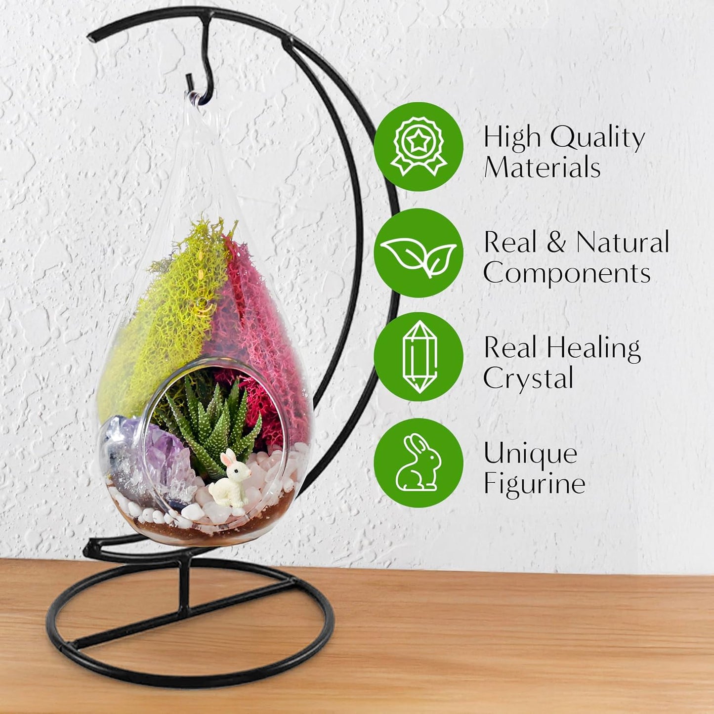 7" DIY Teardrop Terrarium Kit with Live Plants - Hanging Glass Planter with Stand for Adults & Kids - Build a Mini Ecosystem with Moss, Crystals, Tools - Made in The USA