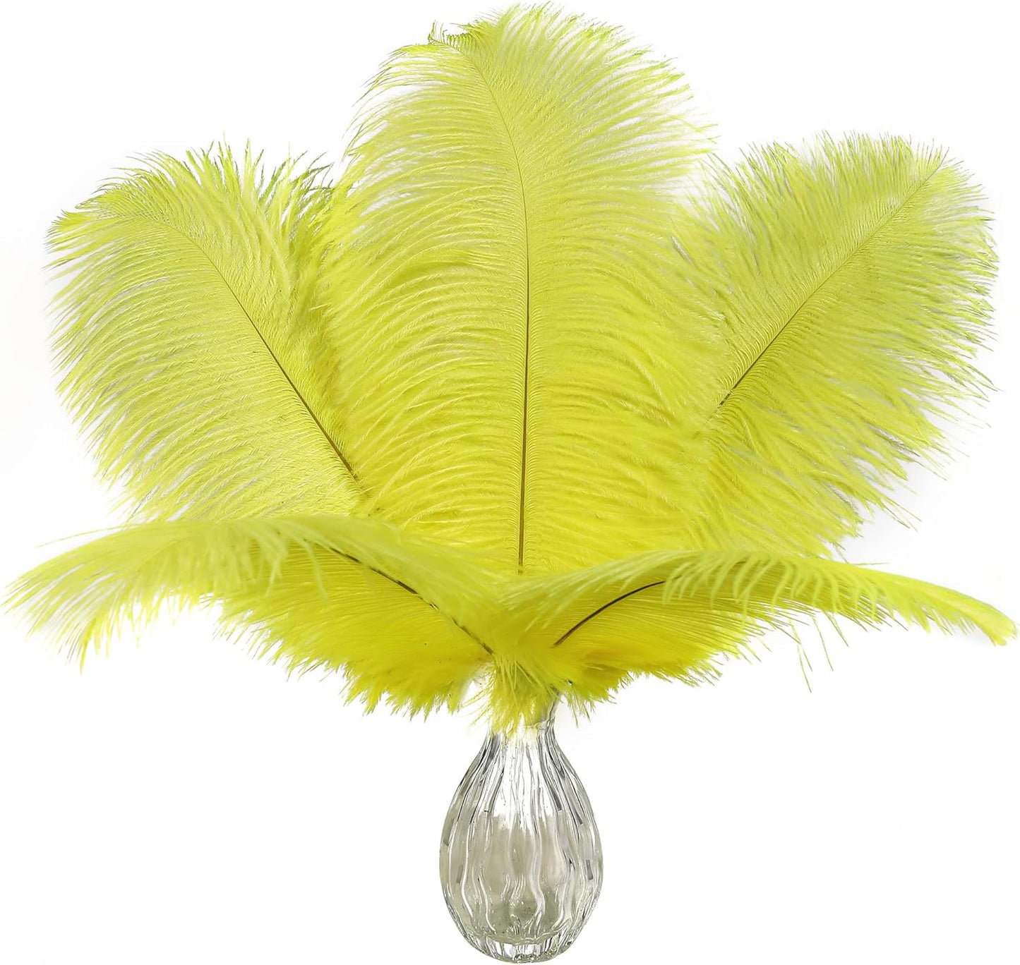 Ballinger Fluorescent Yellow Ostrich Feathers - 24Pcs 12-14inch Long Feathers Bulk for Vase, Party Centerpieces, Mardi Gras Decorations and Home Decor