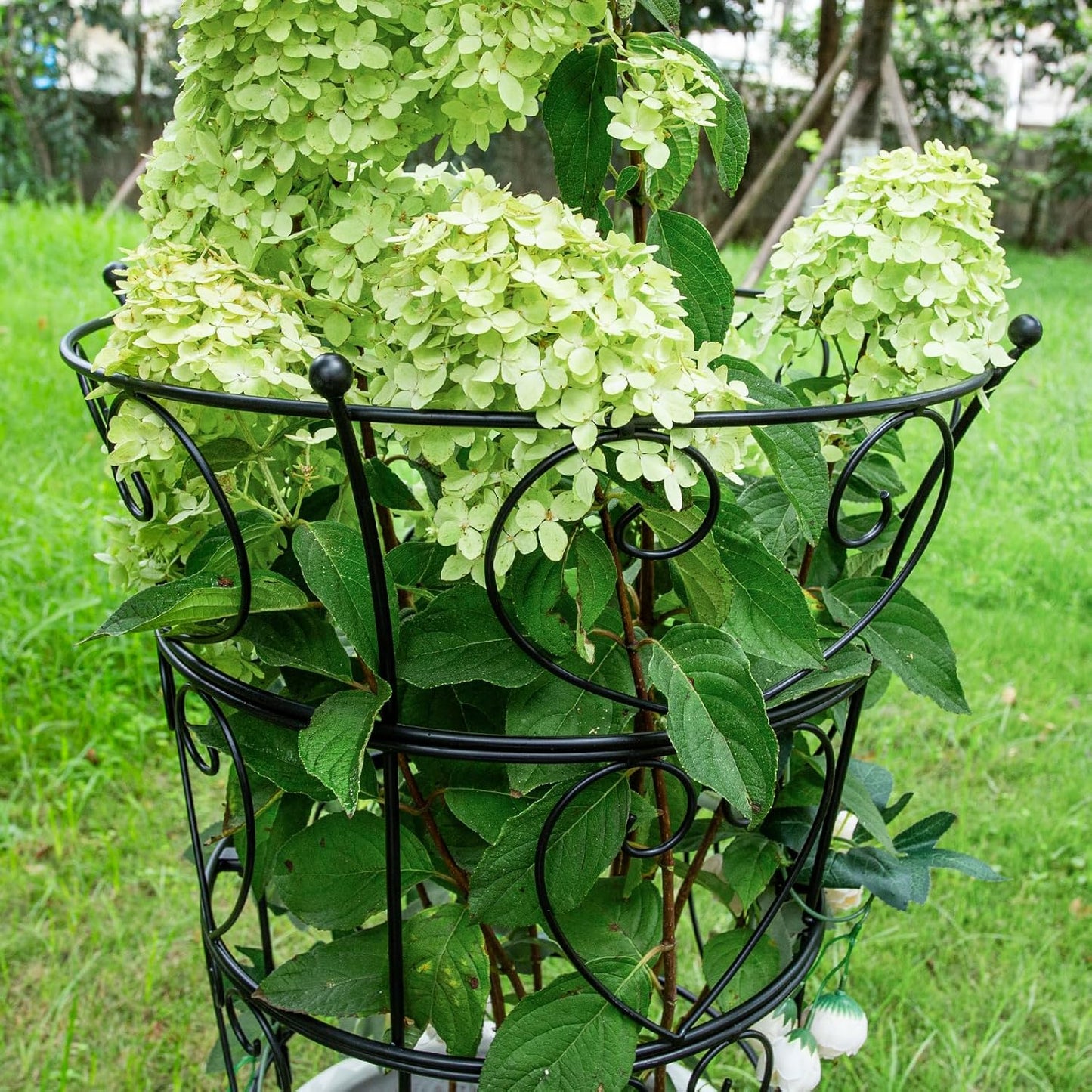 Large Obelisk Trellis Peony Cage 24.6x17 Inches - Premium Metal Plant Support for Outdoor Gardens, Easy Assembly, Sturdy Design, Perfect for Climbing Plants