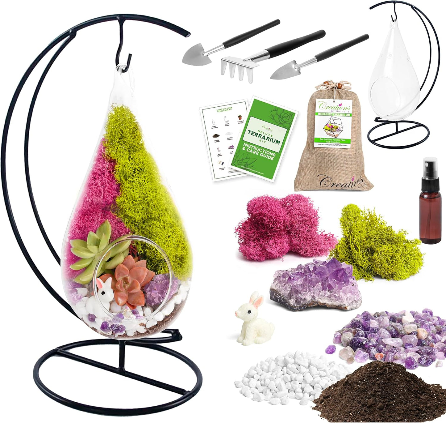 7" DIY Teardrop Terrarium Kit with Live Plants - Hanging Glass Planter with Stand for Adults & Kids - Build a Mini Ecosystem with Moss, Crystals, Tools - Made in The USA