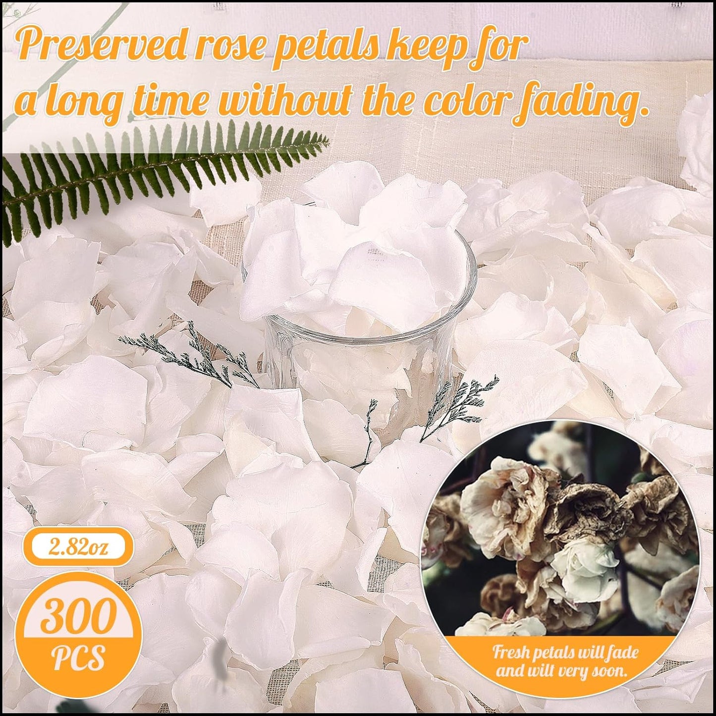 300 PCS Real White Rose Petals for Wedding, 2.82oz Fresh Rose Petals for Flower Girl to Throw, Flower Petal for Romantic Night Table Shower Party Decor