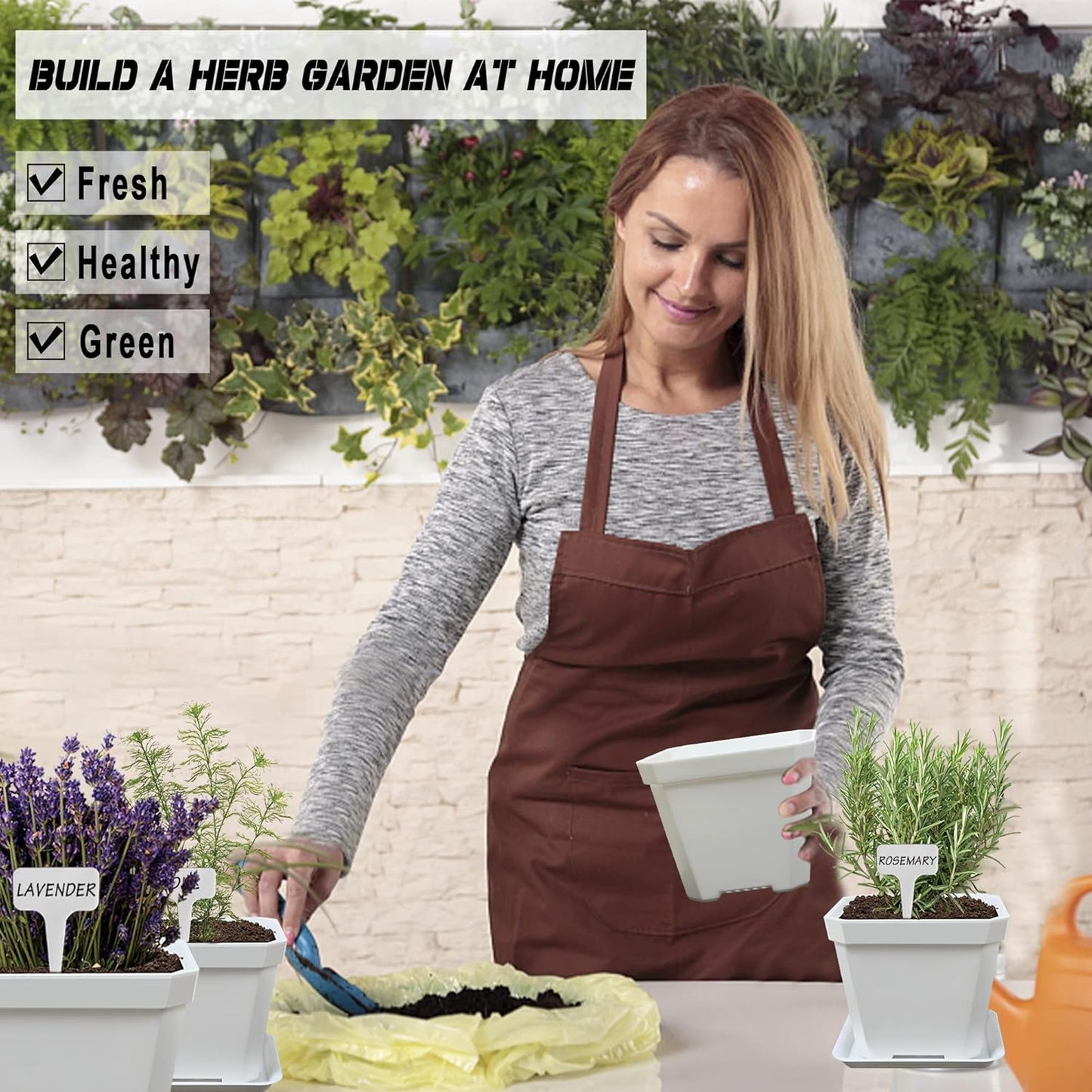 10 Herb Seeds Garden Starter Grow Kit with White Pots, Markers, Nutritional Soil, Watering, Herb Clipper, Complete Indoor Potted Plant Growing Set for Kitchen DIY
