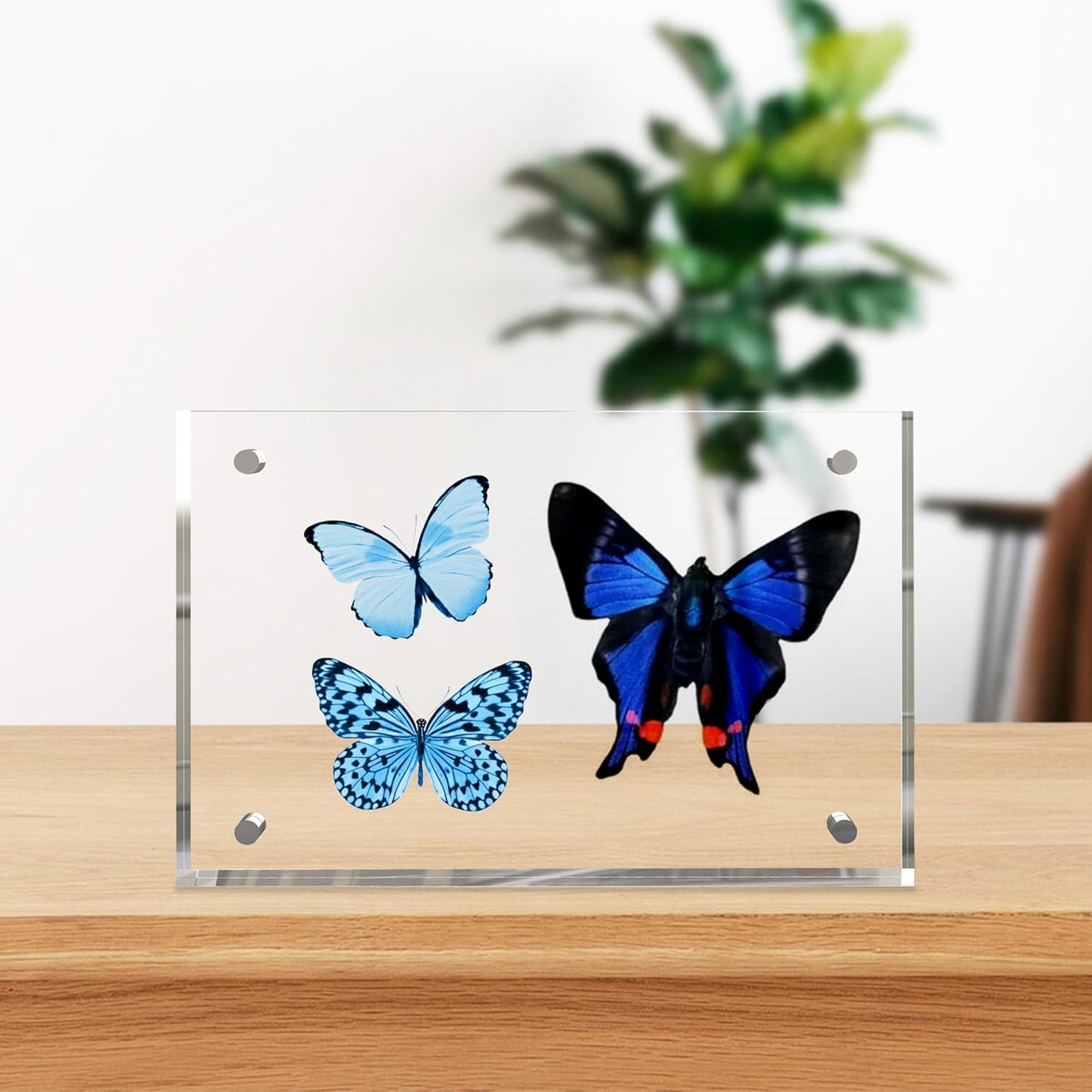 5x7 Inches Acrylic Picture Frames 3 Pack, Double Sided Magnetic Photo Frames,Free Standing on Desk or Table Clear Picture Frames