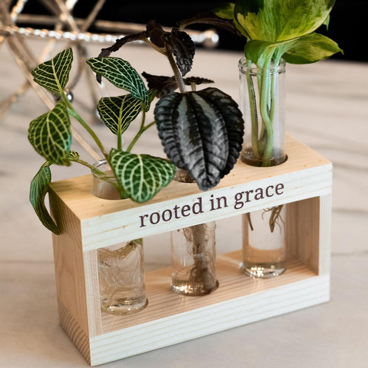 Rooted in Grace: Plant Propagation Stations: Plant Cutting Holder w/ 3 Glass Propagation Vases, Unique & Encouraging Christian Gifts for Women, Faith-Inspired Home Decor