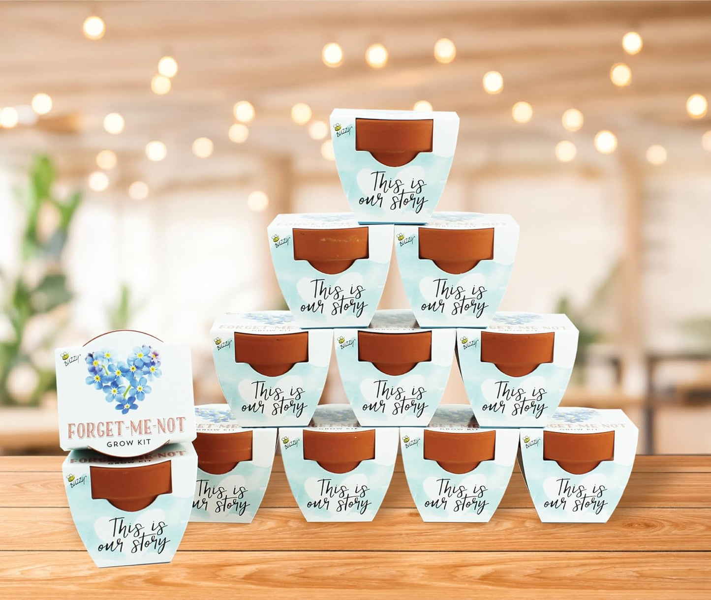 BUZZY Seeds Forget-Me-Not Terracotta Mini Grow Pots Love Collection, 12-Pack All-in-One Gardening Kit for Wedding Favors, Baby Shower Prizes, Birthday Gifts, or Party Favors
